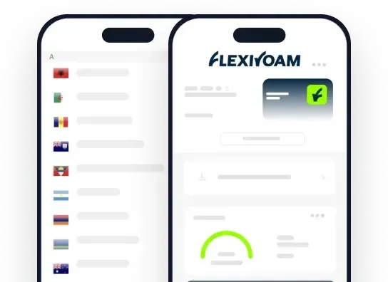 download flexiroam app